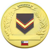 Factory Wholesale Bulk Cheap Custom 3d Blank chile Coin Chilean Airforce Challenge Coins