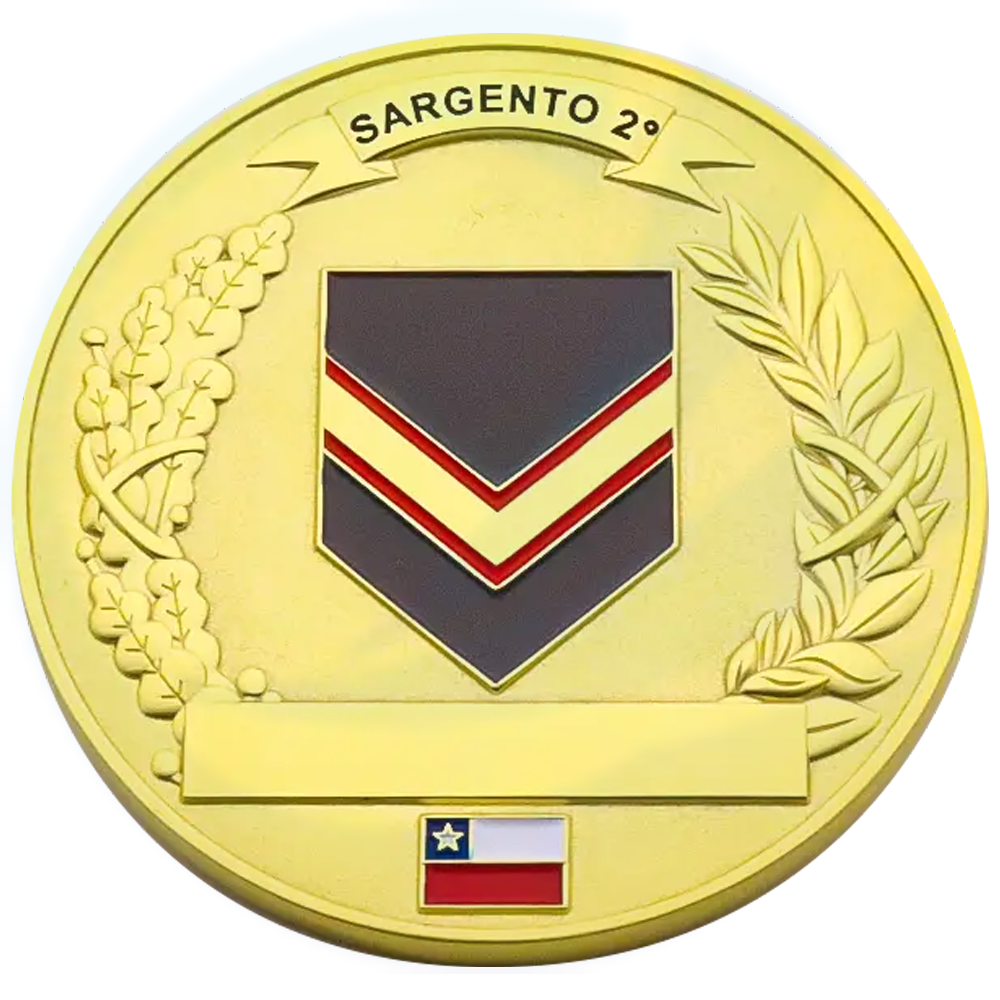 Factory Wholesale Bulk Cheap Custom 3d Blank chile Coin Chilean Airforce Challenge Coins