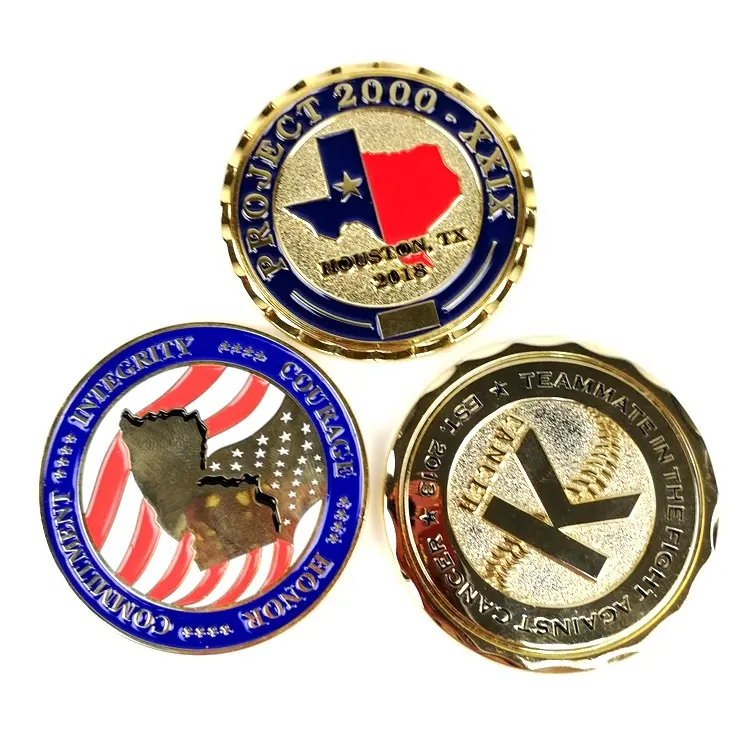 Usa Euro Coins Air Force Challenge Coin
