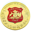 Factory Wholesale Bulk Cheap Custom 3d Blank chile Coin Chilean Airforce Challenge Coins