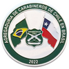 Factory Wholesale Bulk Cheap Custom 3d Blank chile Coin Chilean Airforce Challenge Coins