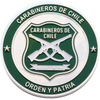 Factory Wholesale Bulk Cheap Custom 3d Blank chile Coin Chilean Airforce Challenge Coins