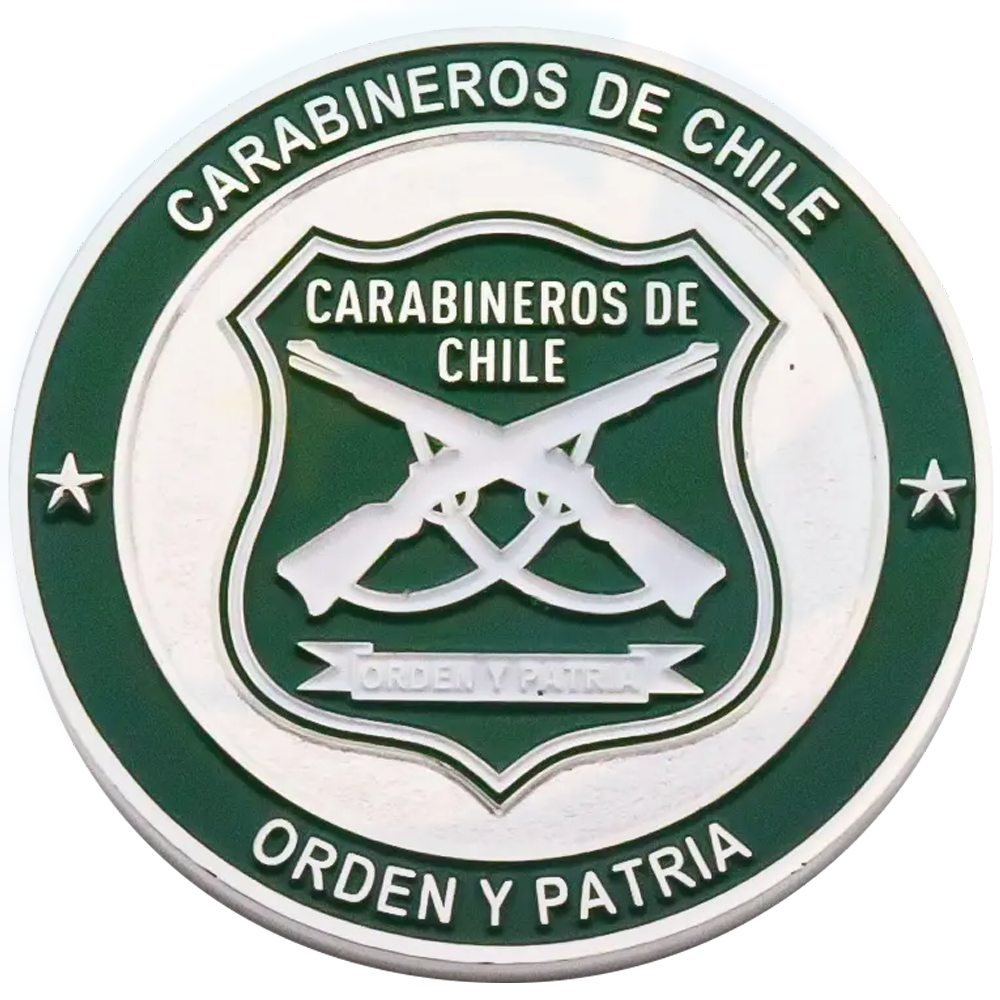 Factory Wholesale Bulk Cheap Custom 3d Blank chile Coin Chilean Airforce Challenge Coins
