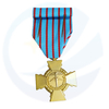 French Honor Battle Cross Emblem Badge Military Medal