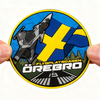 Swedish Aerial Wing PVC Patch Custom 3D Rubber Badge with Hook Loop Backing