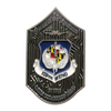 AIR NATIONAL GUARD CHALLENGE COINS