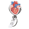 Nurses Custom Badge Reel Medical Retractable Heart Organ Pvc Badge Reel Clip Doctor Accessories Wholesale Id Card Holder for Work