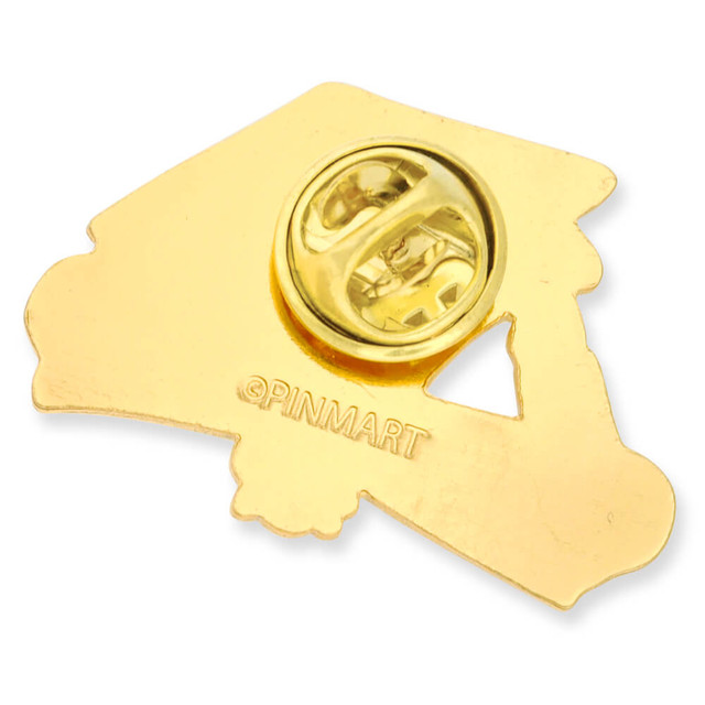 Graduation Cap and Diploma Pin