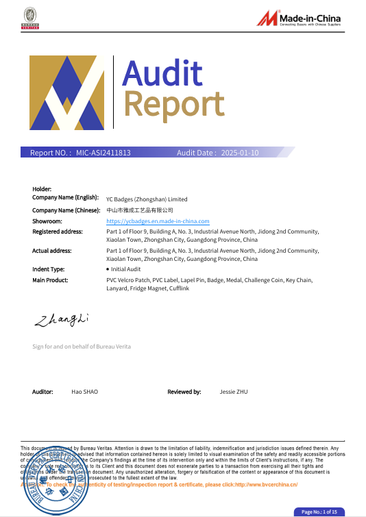 Audit Report