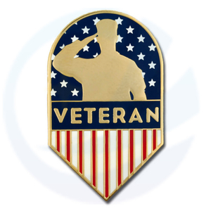 Veteran Shield Pin