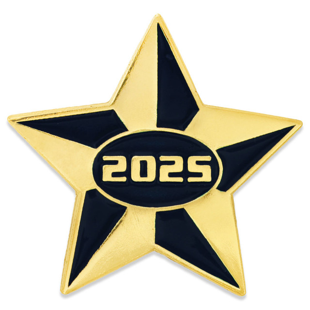 Gold Star Pin Blue and Gold Star Pin