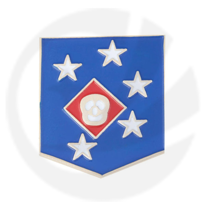 MARINE RAIDERS PIN