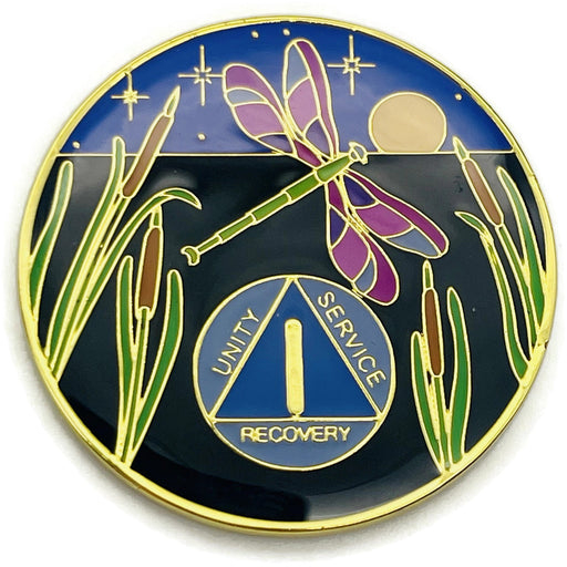 DragonflyAARecoveryMedallion-1Year_1_512x512