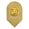 Veteran Shield Pin
