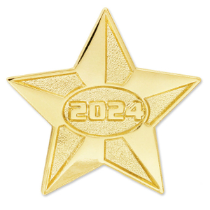 Gold Star Pin Blue and Gold Star Pin