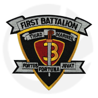 1ST 2ND BATTALION 3RD MARINES PATCH