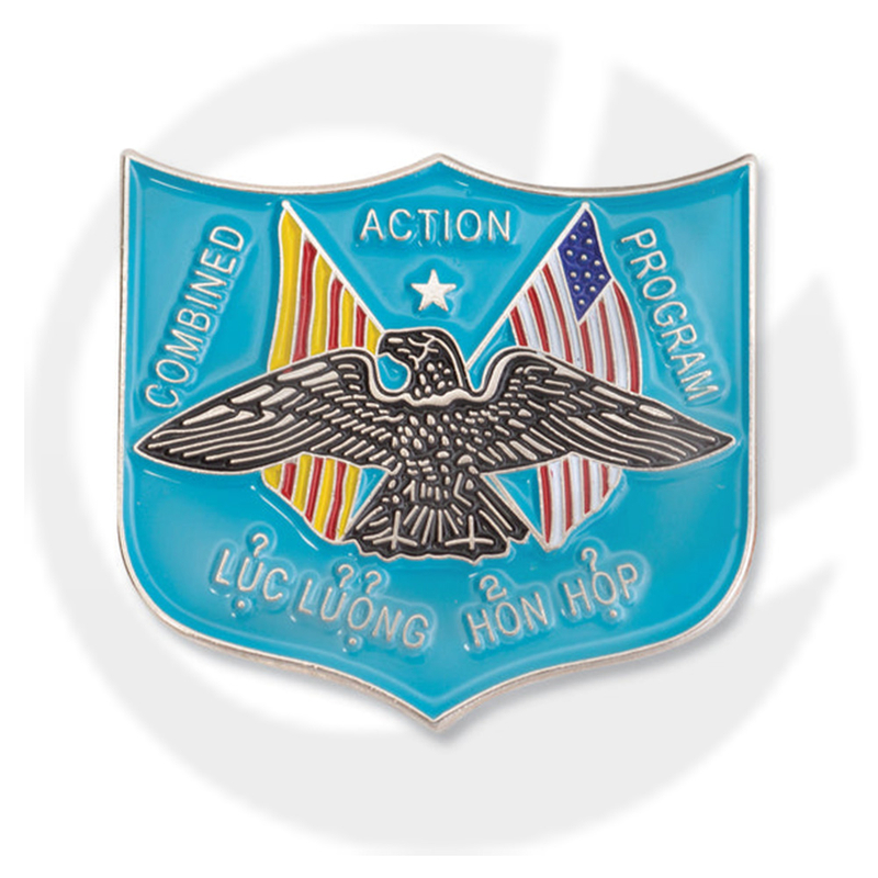 COMBINED ACTION PROGRAM PIN