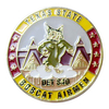 AFROTC CHALLENGE COINS