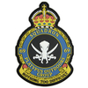 OEM Squadron Royal PVC Crest Badge Squadron Patch Official Crest Rubber Reusable Canadian Patches