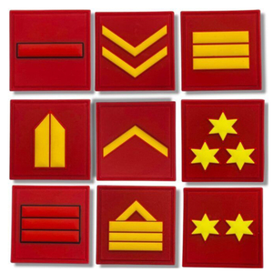 Custom Spain pvc patch Public Service Training Tracksuit with Employment Code Identification OEM