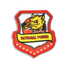 Wing Baseball Red Embroidered Patches