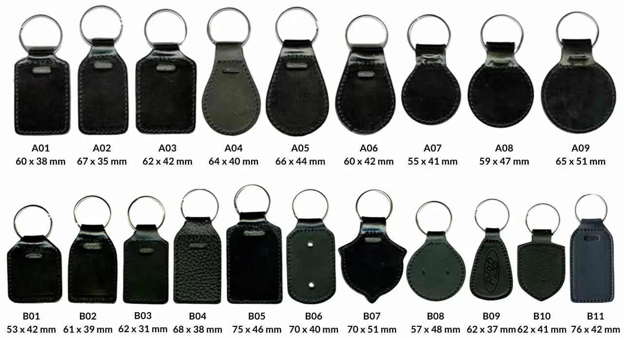 img-key-FOB-open-shaped-0213-01