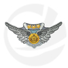 AIR CREW PATCH