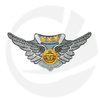 AIR CREW PATCH