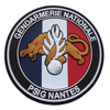 French Glow in the Dark PVC Morale Patch Custom Design for Collectors and Enthusiasts champion League Berberine Patch Broderie