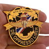 Custom 5th Special Forces Group French Premium Metal Coin With Your Own Logo Zinc Alloy Big Enamel Coin for Souvenir