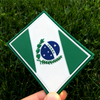 Brazil Parana State Flag PVC Patch 3D Rubber Badge with Hook and Loop Backing