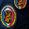 Unique Municipal Canine Badge for Enthusiasts