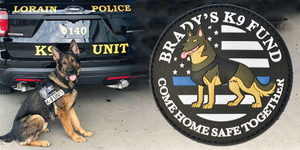 custom k9 patch.jpg
