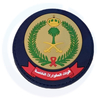 Saudi Arabian Special Emergency Force Logo Silicone PVC Military Uniform Patch