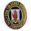Ulster pins