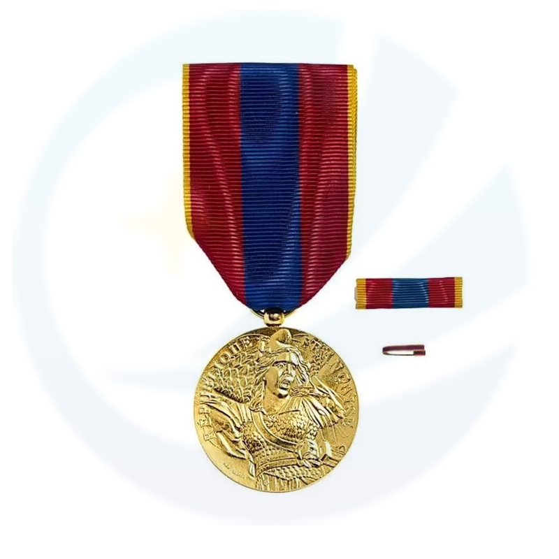 French Vermeil Medal of Defense