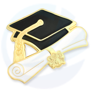 Graduation Cap and Diploma Pin